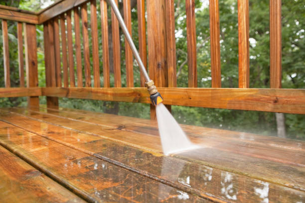 Best Driveway Pressure Washing  in Mount Vernon, TX